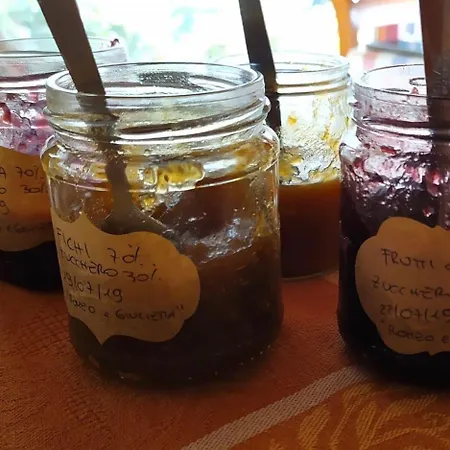 Bio La Tana Del Lele בית חווה Serra San Quirico