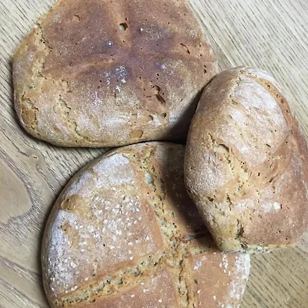 Bio La Tana Del Lele Serra San Quirico