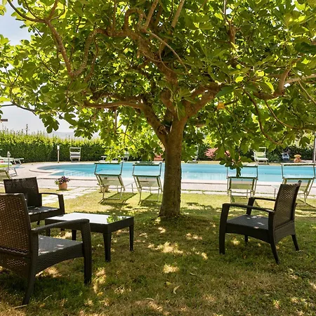 Bio La Tana Del Lele Serra San Quirico