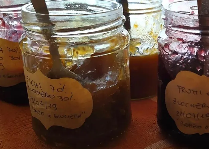 Bio La Tana Del Lele Lantgård Serra San Quirico