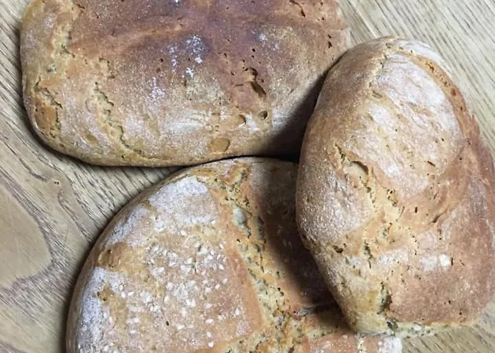 Bio La Tana Del Lele Serra San Quirico